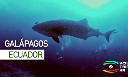 BUCEO EN GALÁPAGOS VR Video BUCEO EN GALÁPAGOS VR