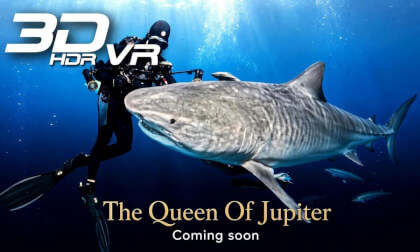 Queen of Jupiter - Teaser