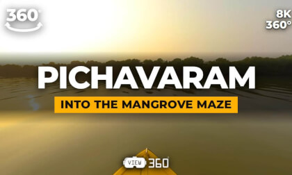 Pichavaram Mangrove Forest, India | Kayak Through the Mangrove Maze | 8K 360° VR