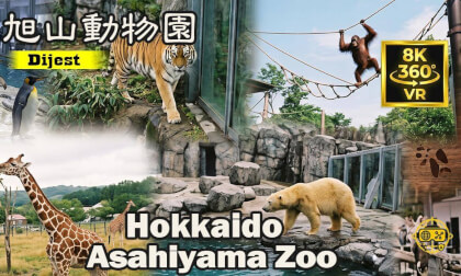 Asahiyama Zoo VR360 Experience | Asahikawa, Japan