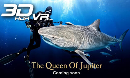 Queen of Jupiter - Teaser