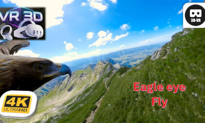 3D POV Over the Alps by Eagle