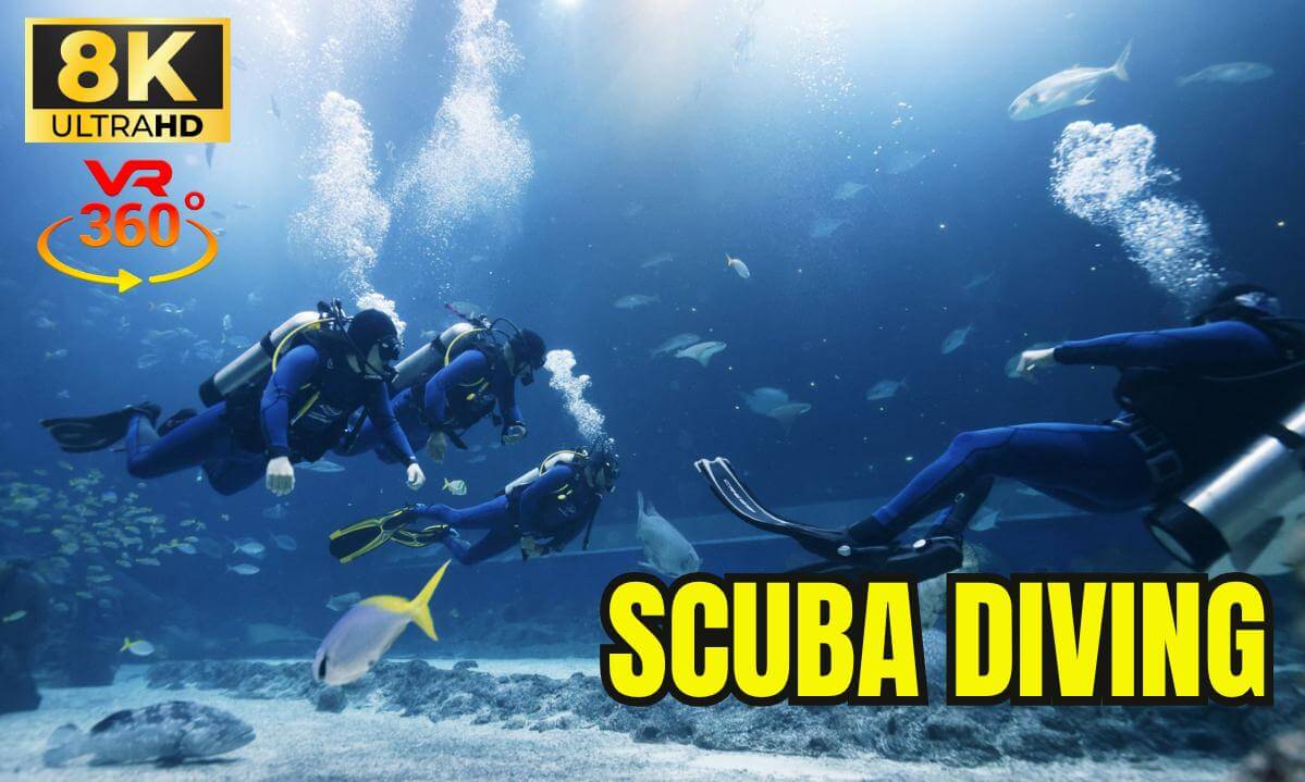 Surface to Depths: 8K - 360° VR Scuba Dive in Turkey