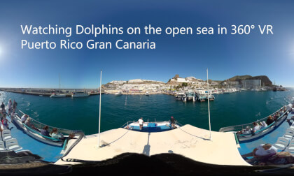 Watching Dolphins on the open sea in 360° VR // Puerto Rico Gran Canaria