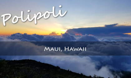 Sunset at Maui's Polipoli Spring Sunset at Maui's Polipoli Spring