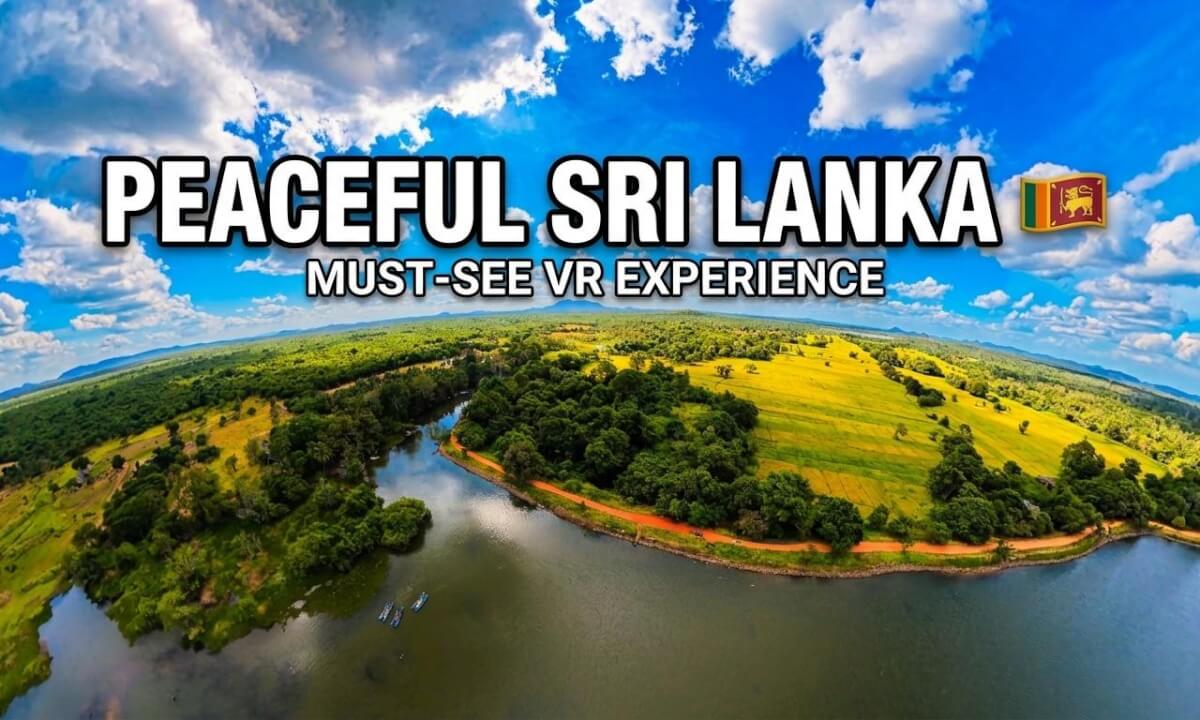 🦅 A Peaceful Flight Over Hiriwadunna Lake 🌿💦 | Near Sigiriya, Sri Lanka 🇱🇰 | 8K 360° VR