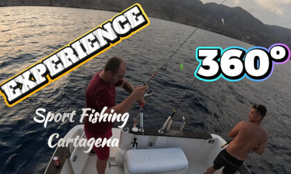 Get up close with a tiny squid in this immersive 360° video, filmed directly from our boat! 🦑🌊