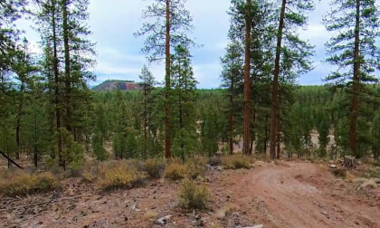 Take a Peak 3 VR Video Take a Peak 3 VR