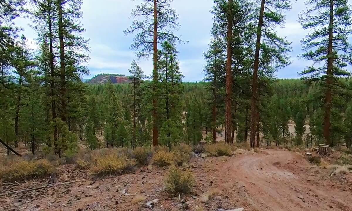 Take a Peak 3