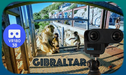 Gibraltar - visiting newborn monkeys (with GoPro Max 2)