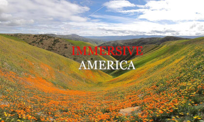 Carrizo Plain National Monument: Wildflower Superbloom on the Hills (8K 3D VR180 Video)