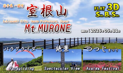 Mount Murone, Ichinoseki City, Iwate Prefecture, Japan: Azalea Festival, Paragliding / 岩手県一関市 室根山 つつじまつり、パラグライダー【岩手県 一関市 室根山 2026年05月31日】
