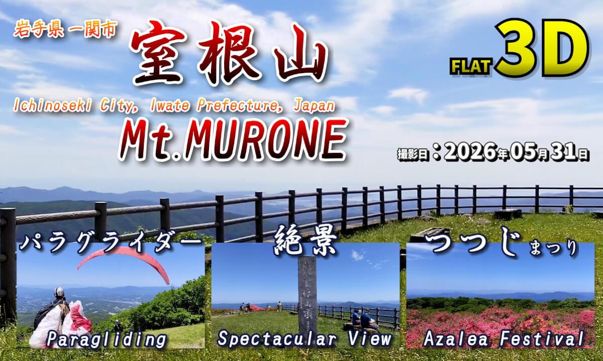 Mount Murone, Ichinoseki City, Iwate Prefecture, Japan: Azalea Festival, Paragliding / 岩手県一関市 室根山 つつじまつり、パラグライダー【岩手県 一関市 室根山 2026年05月31日】