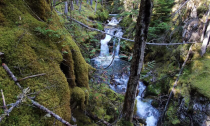 Stream and Mossy Gully (3d, Flat)
