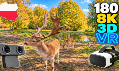 🦁🦙 Fierce & Fluffy Creatures | An Afternoon at Gdańsk - Oliva Zoo 🐒🦒 | 180 8K 3D VR