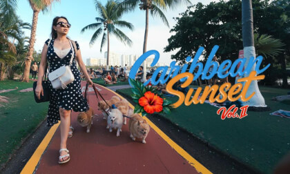 Live Music Festival in Cancún, Mexico | Caribbean Sunset II | VR180 8K