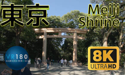 Meiji Shrine (Meiji Jingu) walking , 明治神宮 東京 -Travel JAPAN-