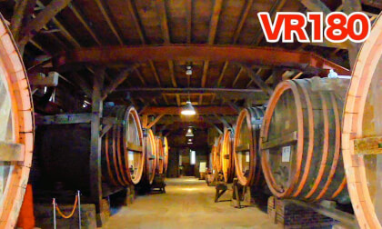 [8K VR180] Exploring a Historic Japanese Winery – Ushiku Chateau