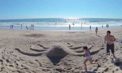 Giant Sand Octopus