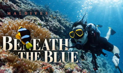 The Maldives Diving Experience: What You Need to Know