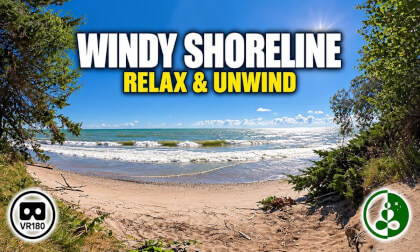 Windy Shoreline | Midday Waves & Nature Relaxation in VR180