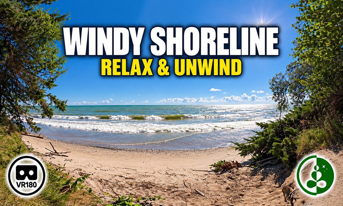 Windy Shoreline | Midday Waves & Nature Relaxation in VR180