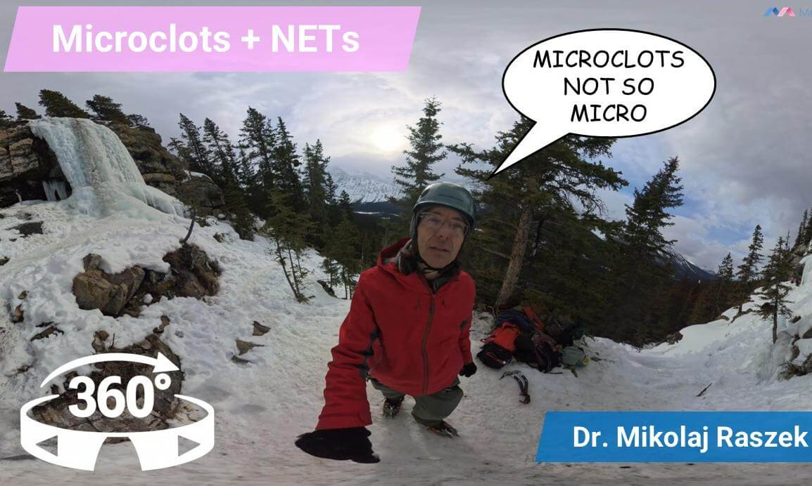 Microclots + NETs: the blood traffic jam behind Long COVID
