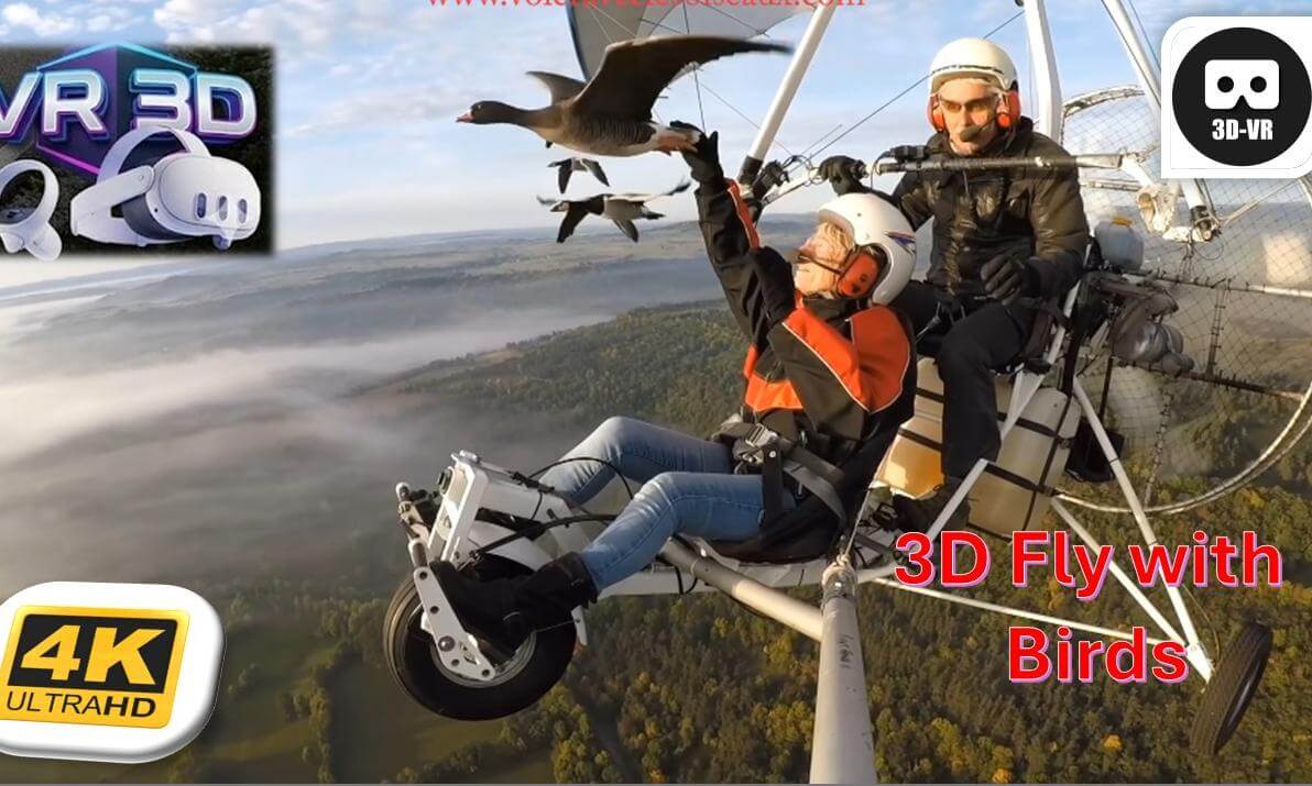 3D Amazing flights with birds on board of a microlight