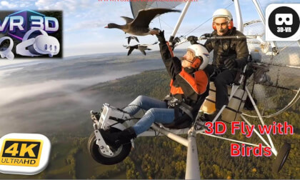 3D Amazing flights with birds on board of a microlight