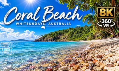 Coral Beach Walk | 8K 360° VR | Whitsundays, Australia 🇦🇺
