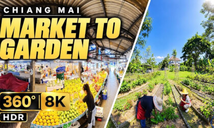 Chiang Mai Market to Garden | Fruit Stalls & Growing Beds | 360° 8K HDR