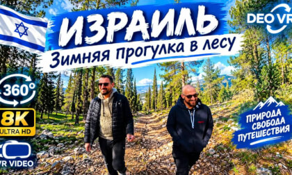 Израиль  | Зима | Лес