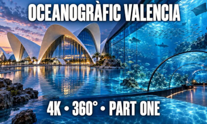 OCEANOGRÀFIC Valencia 4K 360° | Immersive Virtual Aquarium Tour | Part One