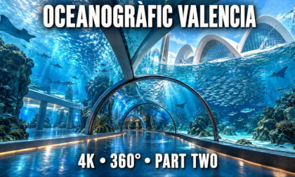 OCEANOGRÀFIC Valencia 4K 360° | Explore the Aquarium in VR | Part Two