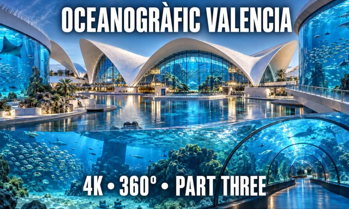 OCEANOGRÀFIC Valencia 4K 360° | A Stunning Immersive Experience | Part Three
