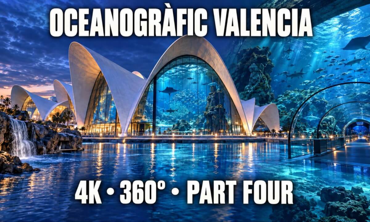 OCEANOGRÀFIC Valencia 4K 360° | Valencia Aquarium Virtual Tour | Part Four