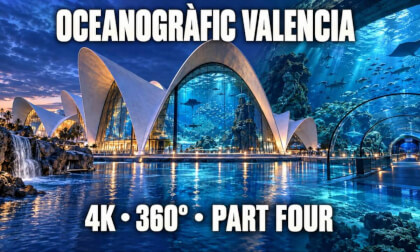OCEANOGRÀFIC Valencia 4K 360° | Valencia Aquarium Virtual Tour | Part Four