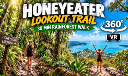 Explore an Australian Rainforest in 360° VR 🌿 | Honeyeater Track, Whitsundays