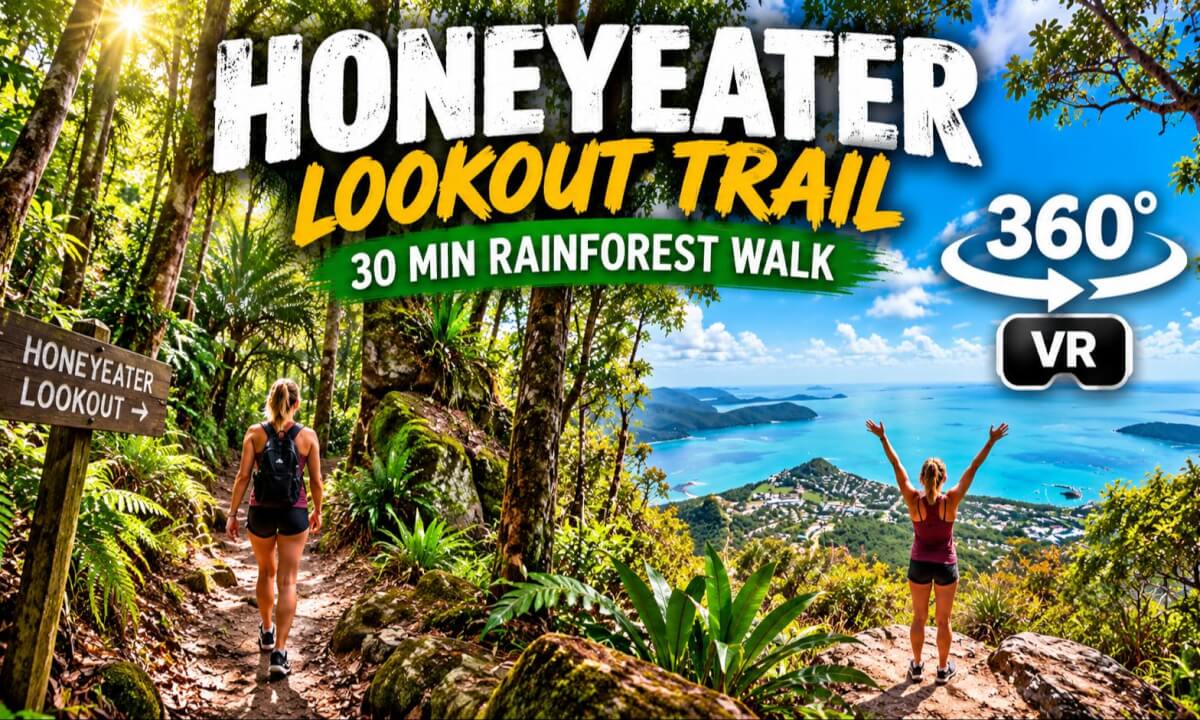 Explore an Australian Rainforest in 360° VR 🌿 | Honeyeater Track, Whitsundays