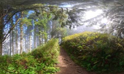 Hobbit Trail, Oregon