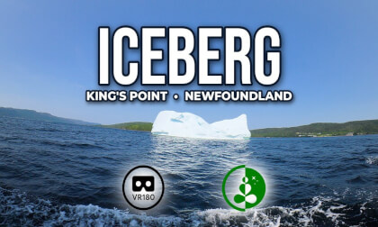Iceberg at King's Point, Newfoundland | VR180