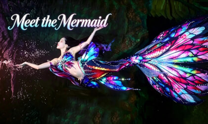 meet the mermaid