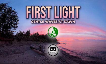 First Light | Gentle Waves at Dawn | VR180
