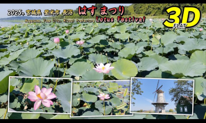 2025 Naganuma Lotus Festival / 2025年 長沼 はすまつり【宮城県 登米市 迫町 2025年07月29日】