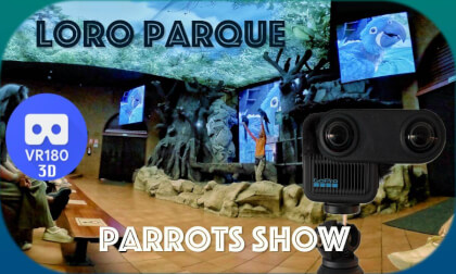Parrot Show at Loro Parque, Tenerife 🦜 (full show)