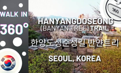 Walk in 360° -  Hanyangdoseong Banyan Tree (한양도성순성길 반얀트리)