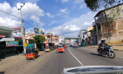 180 VR - Sri Lanka 2019 - 13 - Kandy - Spice & Botanical garden VR Video 180 VR - Sri Lanka 2019 - 13 - Kandy - Spice & Botanical garden VR