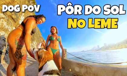 [360 VR] Dog POV: Pedra do Leme Walking Tour | Rio de Janeiro