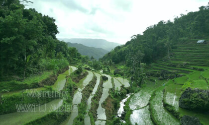 Warung Watu Adeg