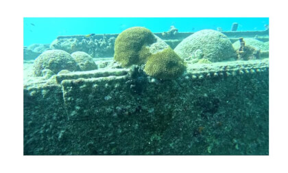 Wreck diving